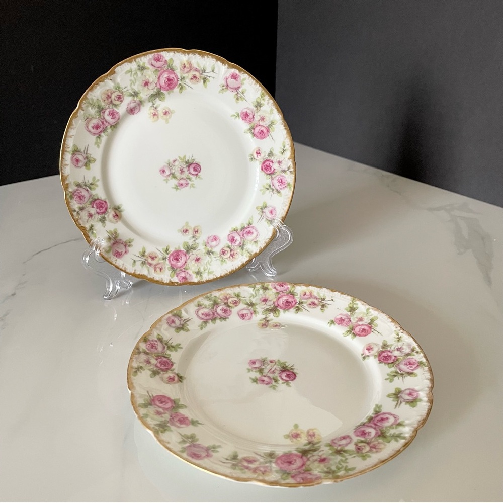 SET of 2 Bread or Dessert Plates - Pink Roses - Haviland Limoges